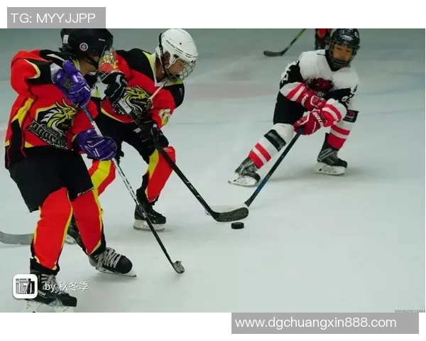 深入探讨北京羽毛球队技术特点与其他球队的差异分析